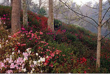 《圣剑传说》新作并非开放世界 主角是热血少年